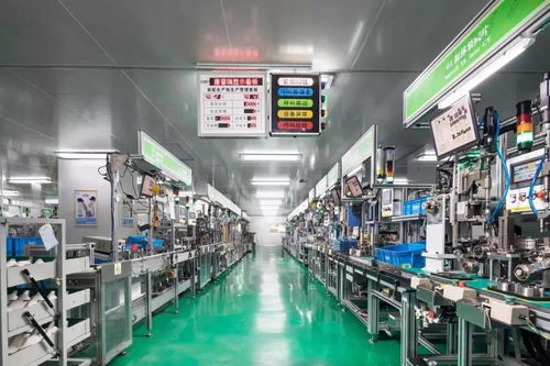 科技賦能，服務創優——區科技局深化信息技術咨詢服務新路徑